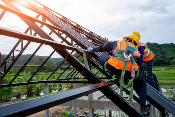 Best Roof Gutter Cleaning  in New Haven, IN